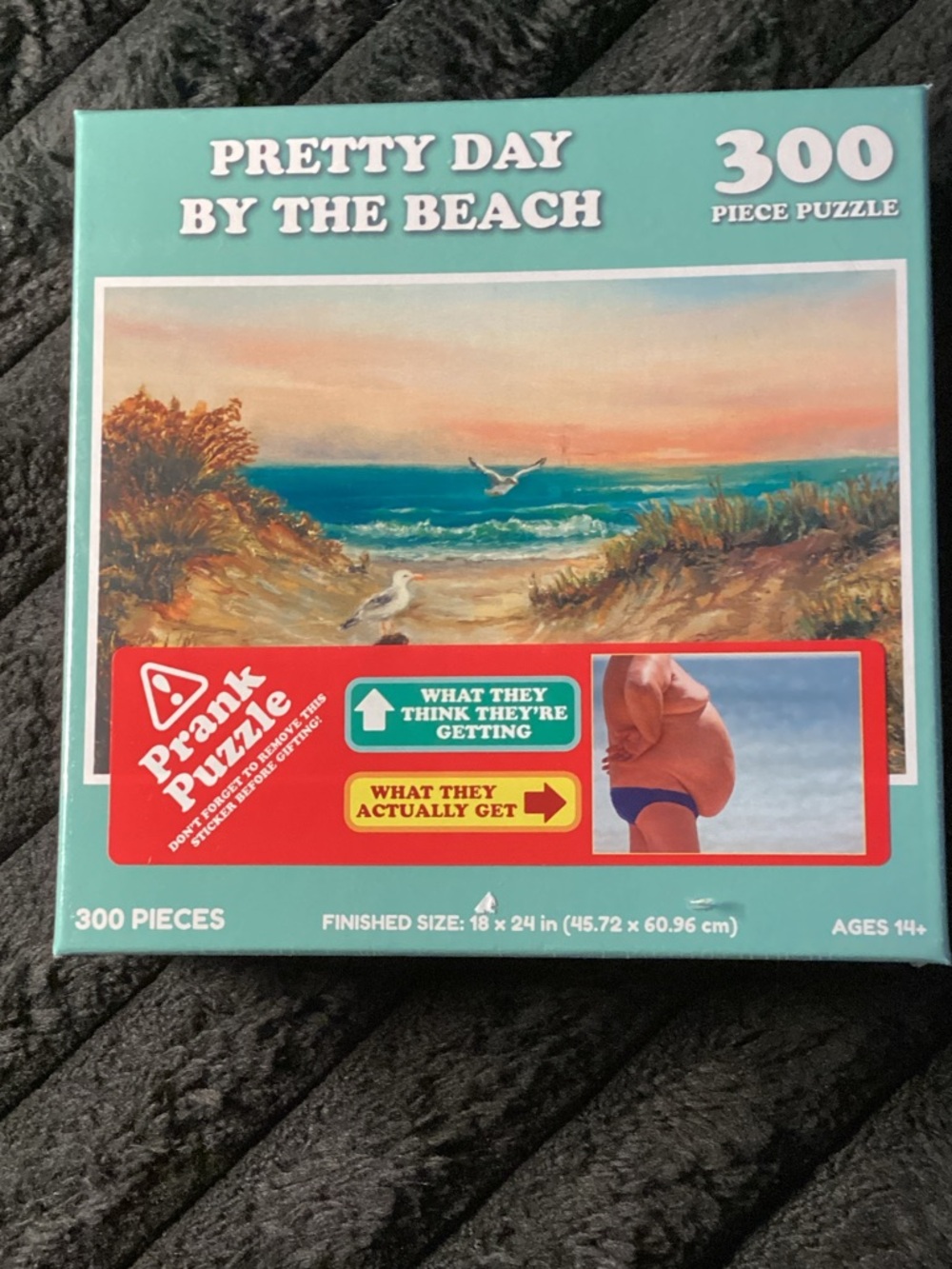 Meme Puzzles "Pretty Day By The Beach" Prank Puzzle - Hilarious!